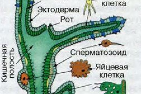 Кракен ссылка тупа германия