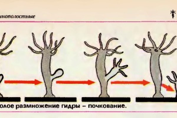 Кракен официальный сайт онион